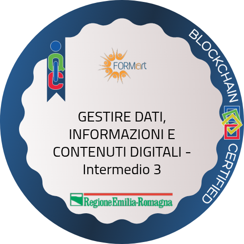 Badge pubblico 82590